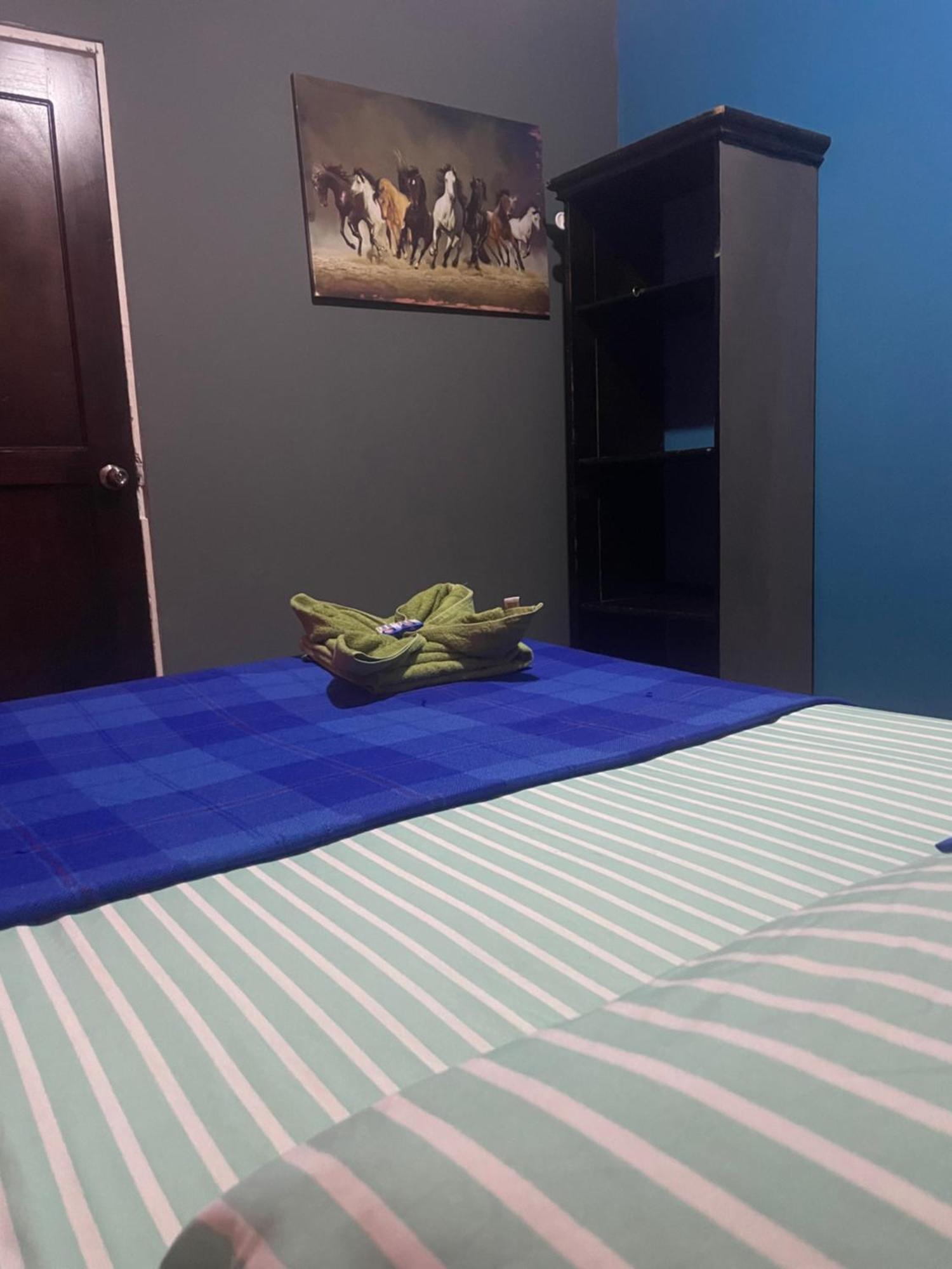 Hostal Vista Boquete Bajo Boquete Eksteriør billede