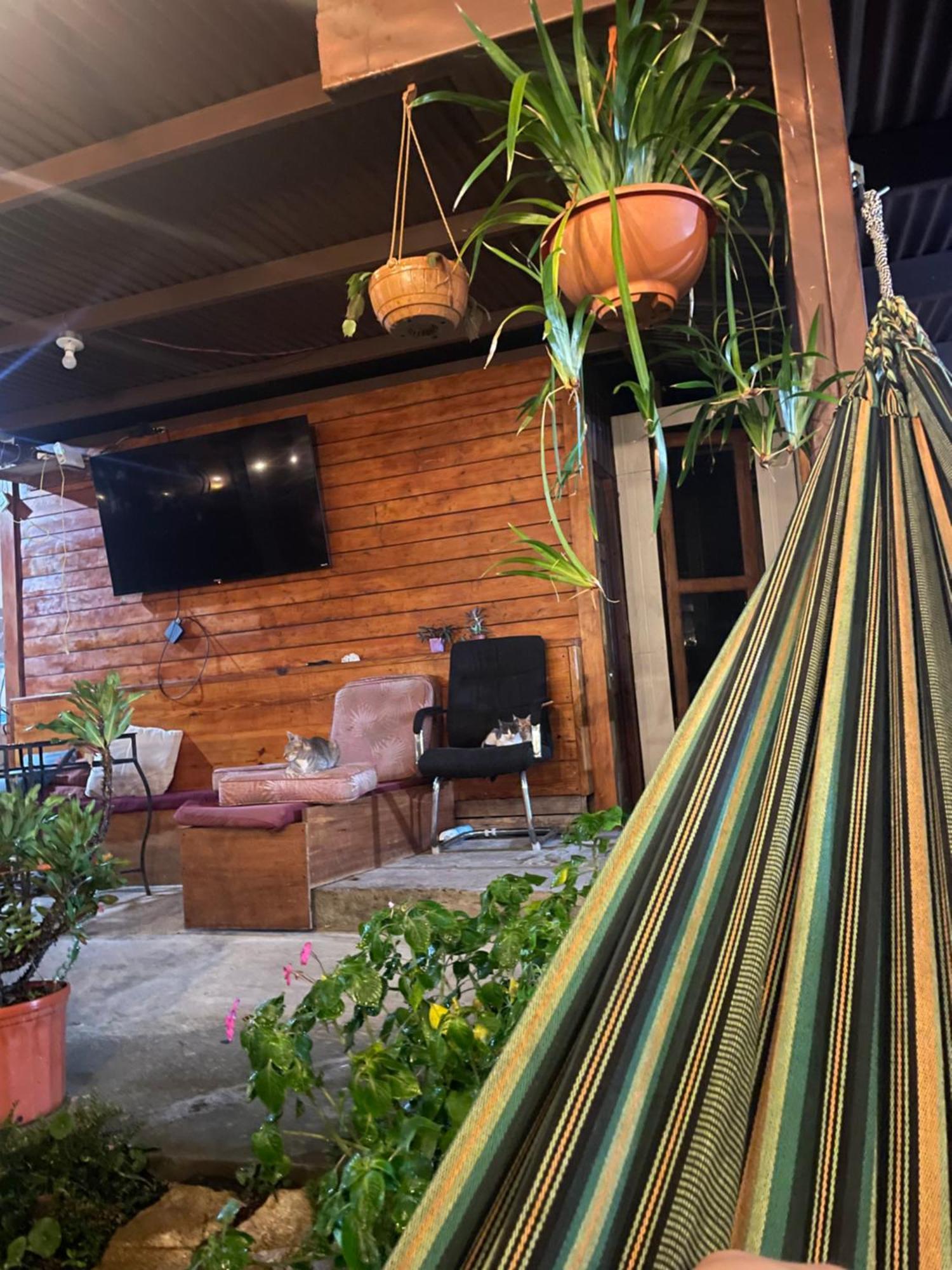Hostal Vista Boquete Bajo Boquete Eksteriør billede