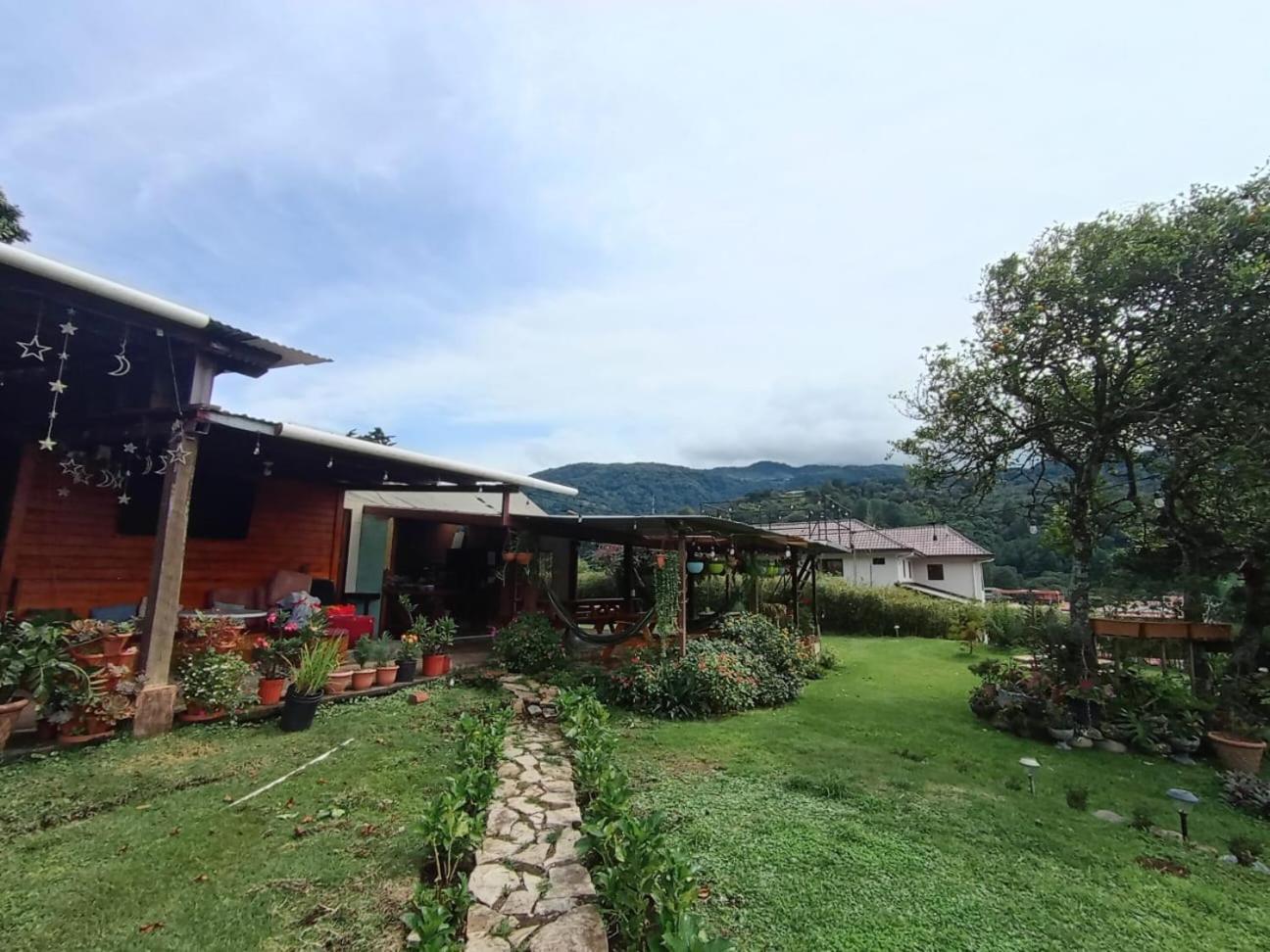 Hostal Vista Boquete Bajo Boquete Eksteriør billede