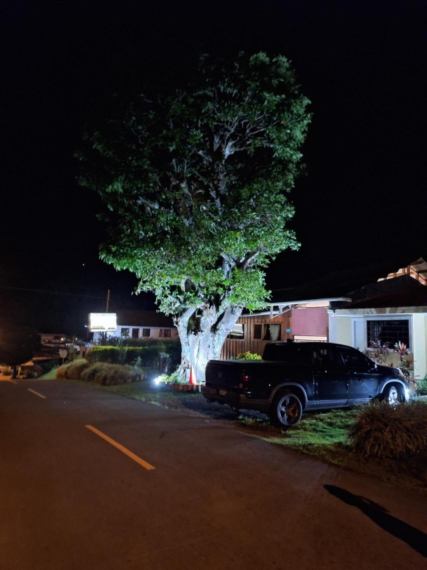 Hostal Vista Boquete Bajo Boquete Eksteriør billede
