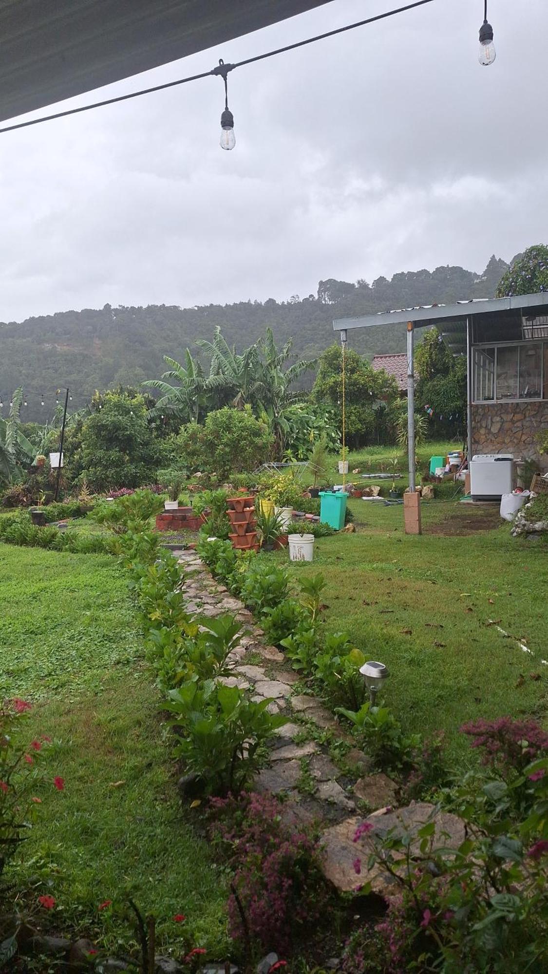 Hostal Vista Boquete Bajo Boquete Eksteriør billede