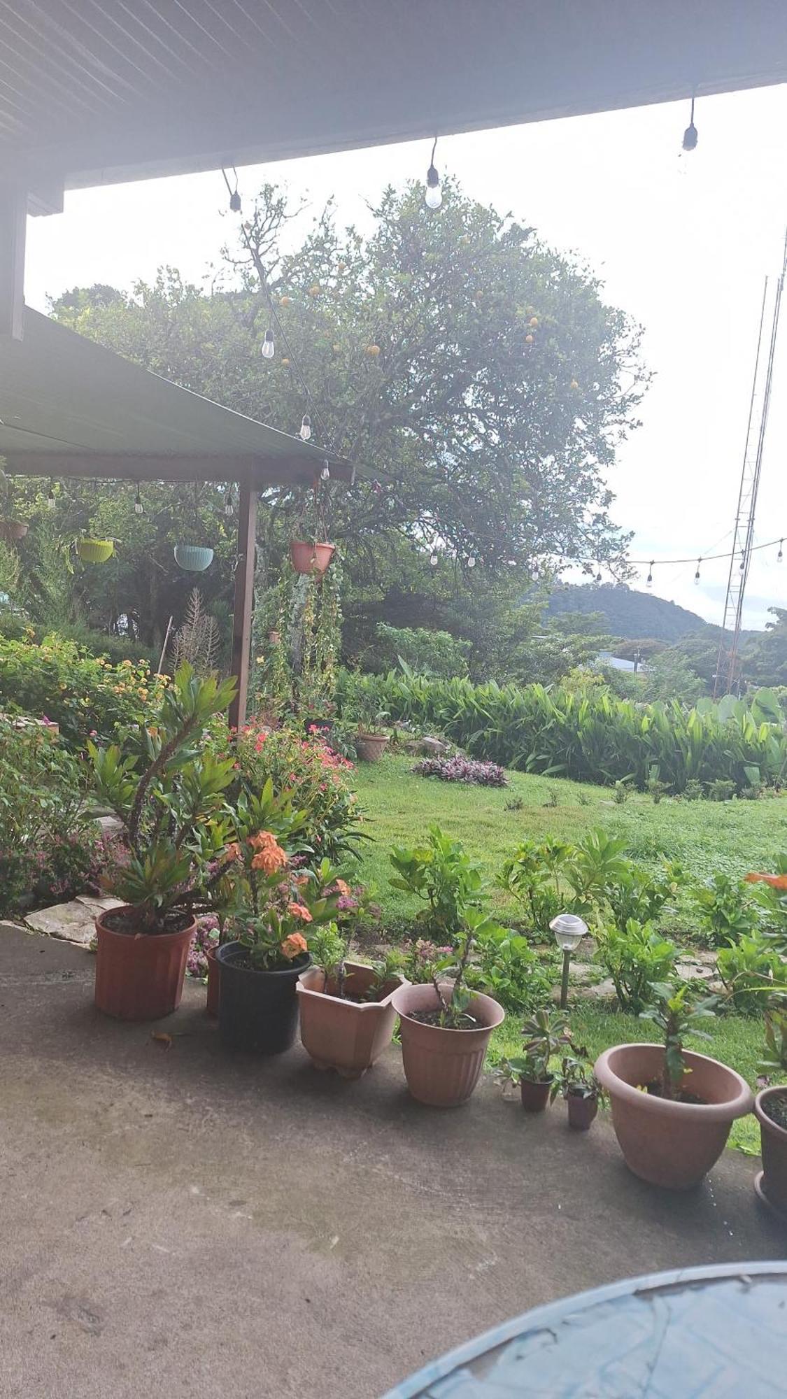 Hostal Vista Boquete Bajo Boquete Eksteriør billede