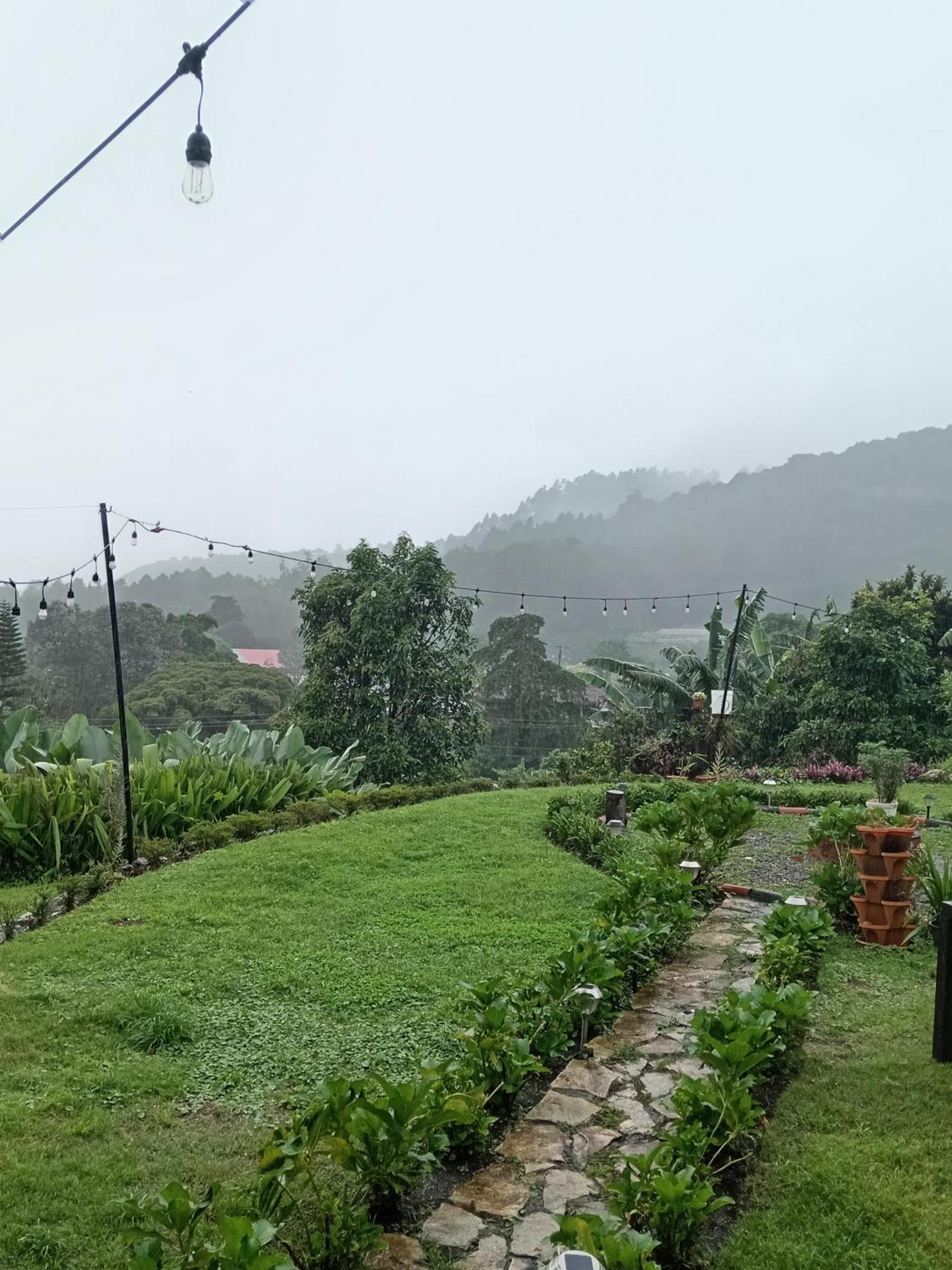 Hostal Vista Boquete Bajo Boquete Eksteriør billede