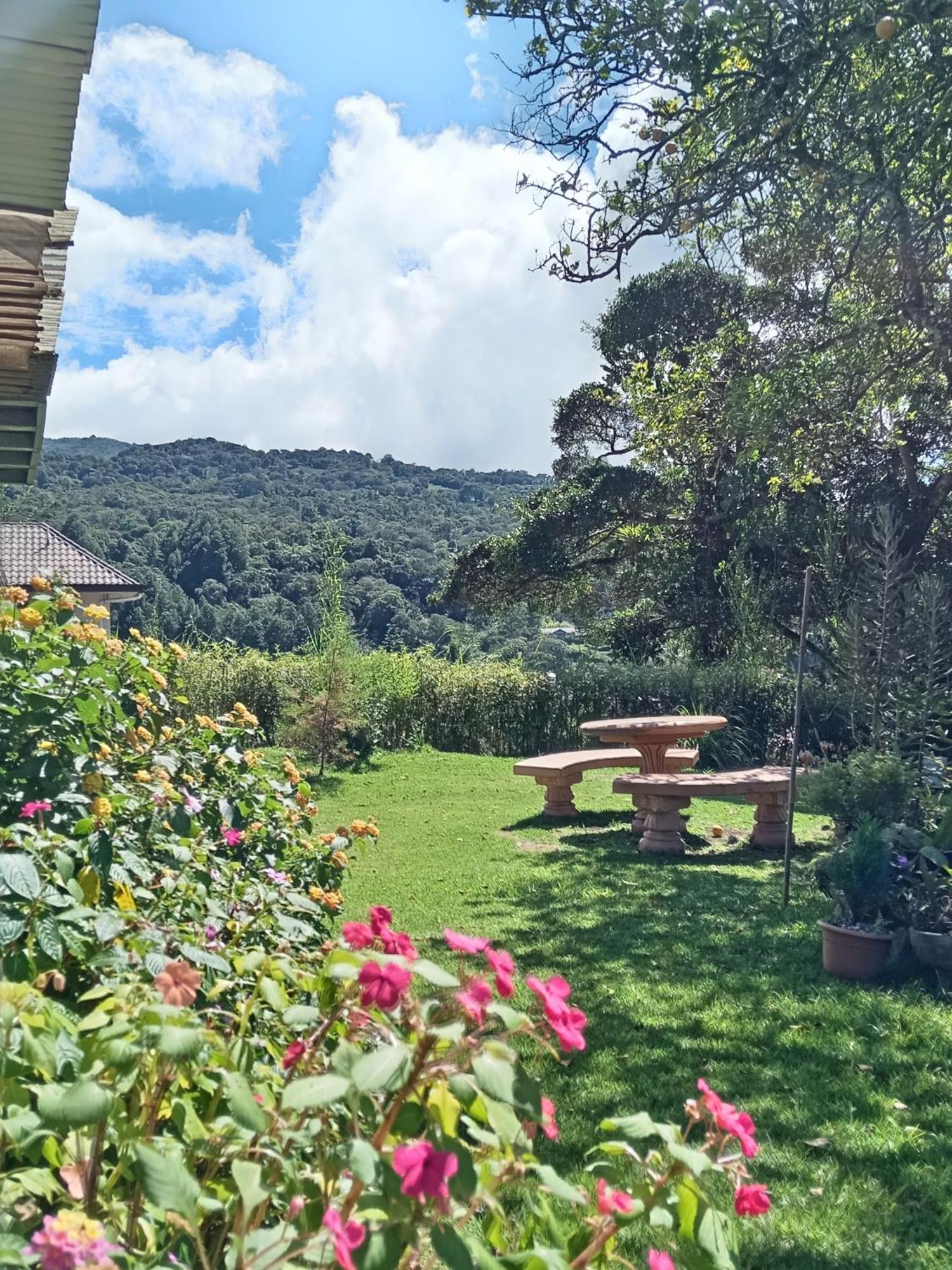 Hostal Vista Boquete Bajo Boquete Eksteriør billede