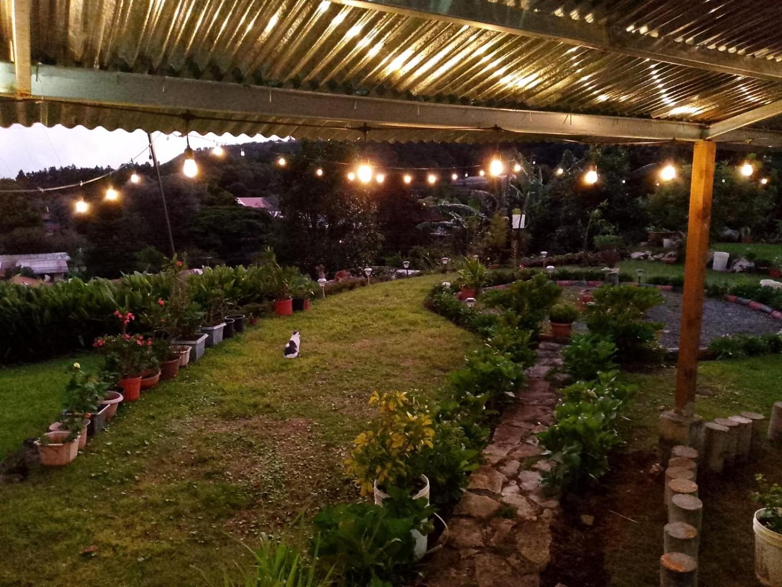 Hostal Vista Boquete Bajo Boquete Eksteriør billede