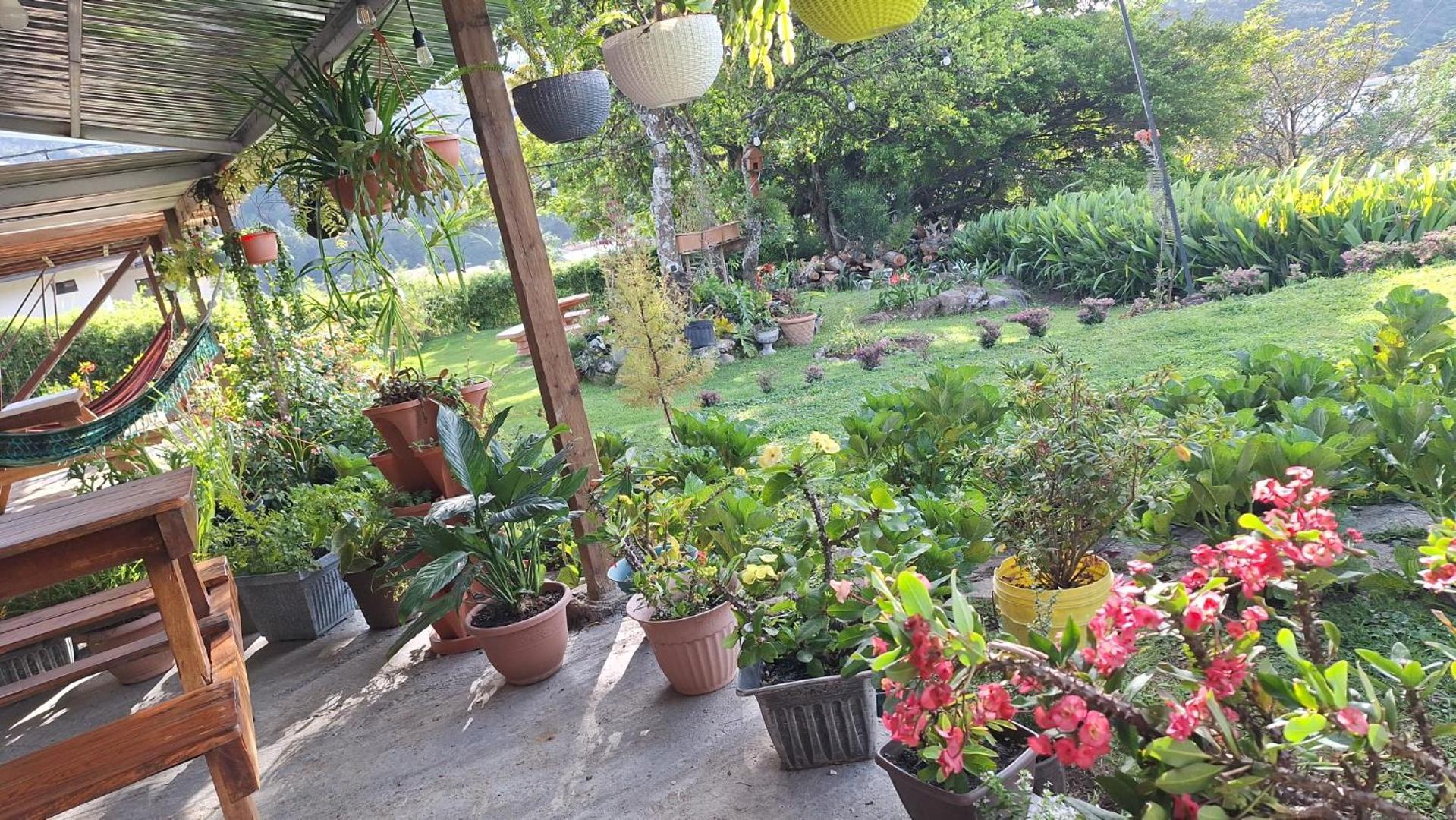 Hostal Vista Boquete Bajo Boquete Eksteriør billede
