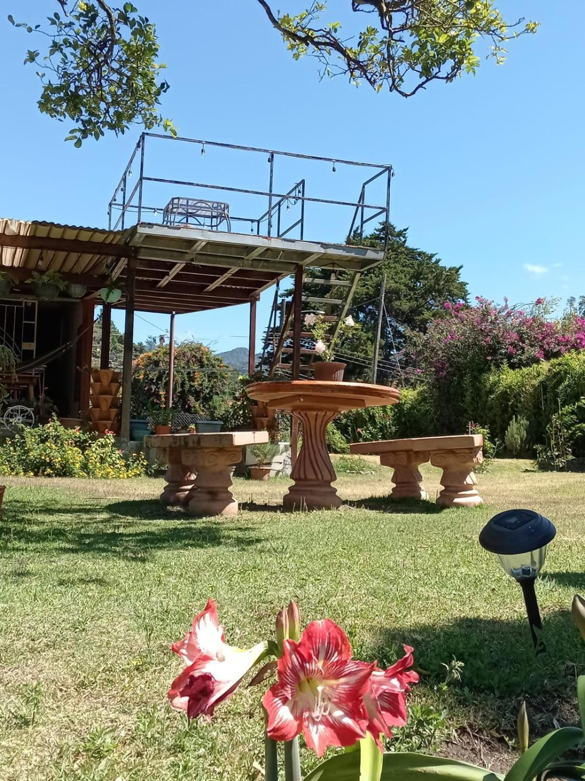 Hostal Vista Boquete Bajo Boquete Eksteriør billede