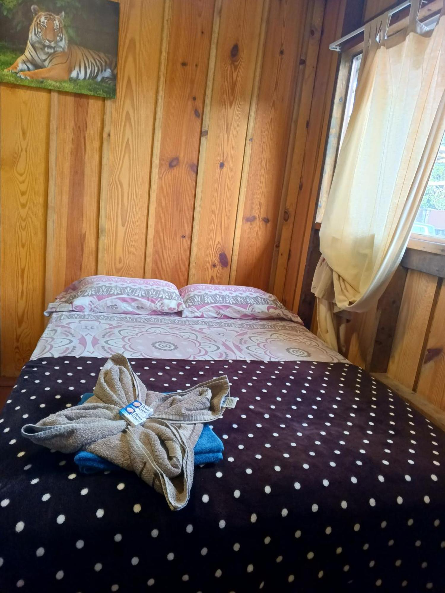 Hostal Vista Boquete Bajo Boquete Eksteriør billede