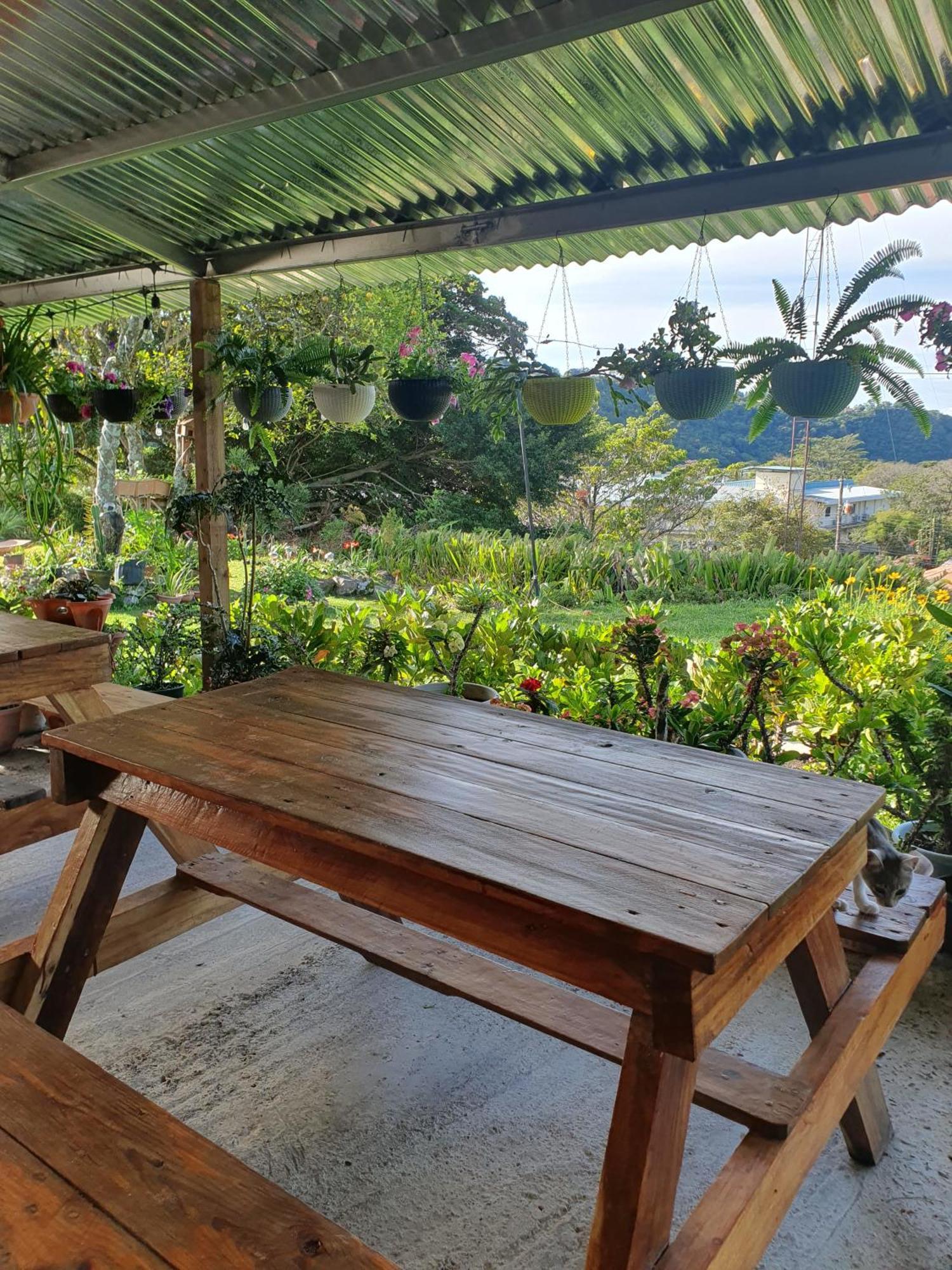 Hostal Vista Boquete Bajo Boquete Eksteriør billede