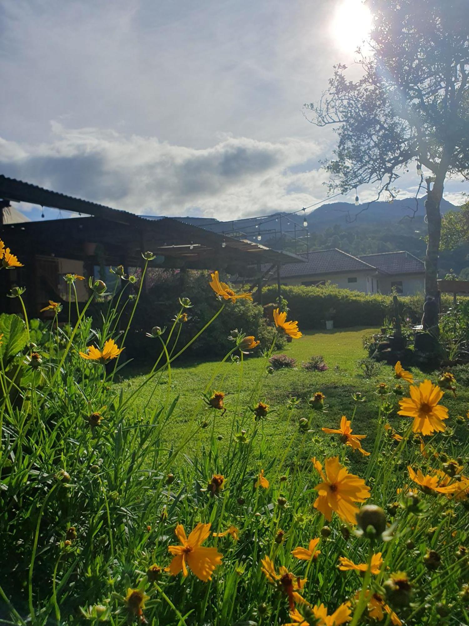 Hostal Vista Boquete Bajo Boquete Eksteriør billede